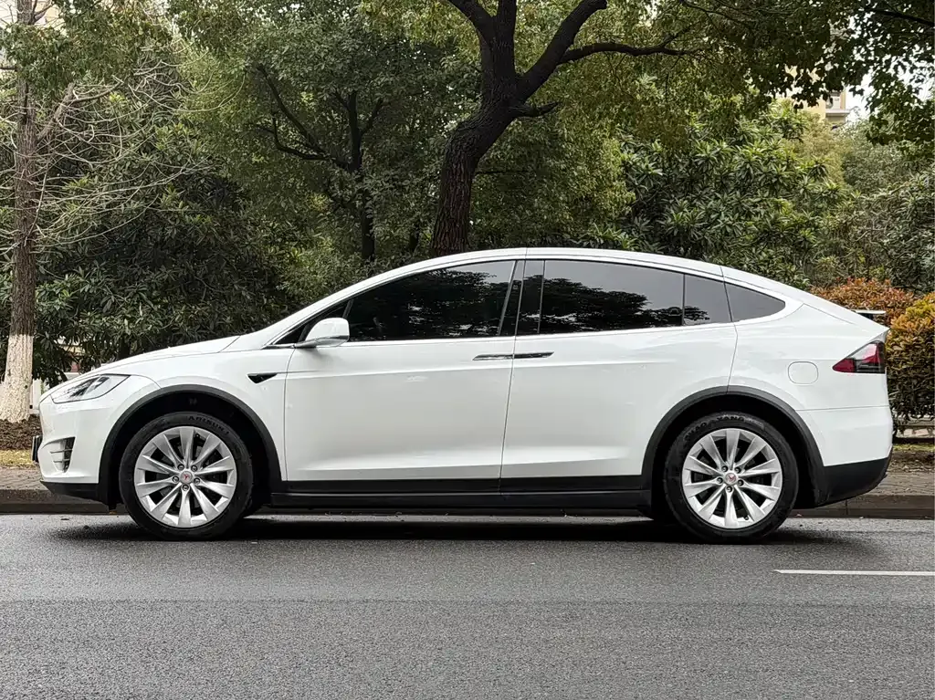 Tesla Model X — фото 4