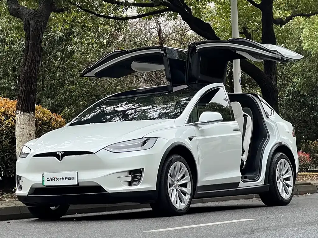 Tesla Model X — фото 10