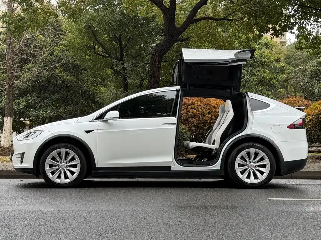 Tesla Model X — фото 9