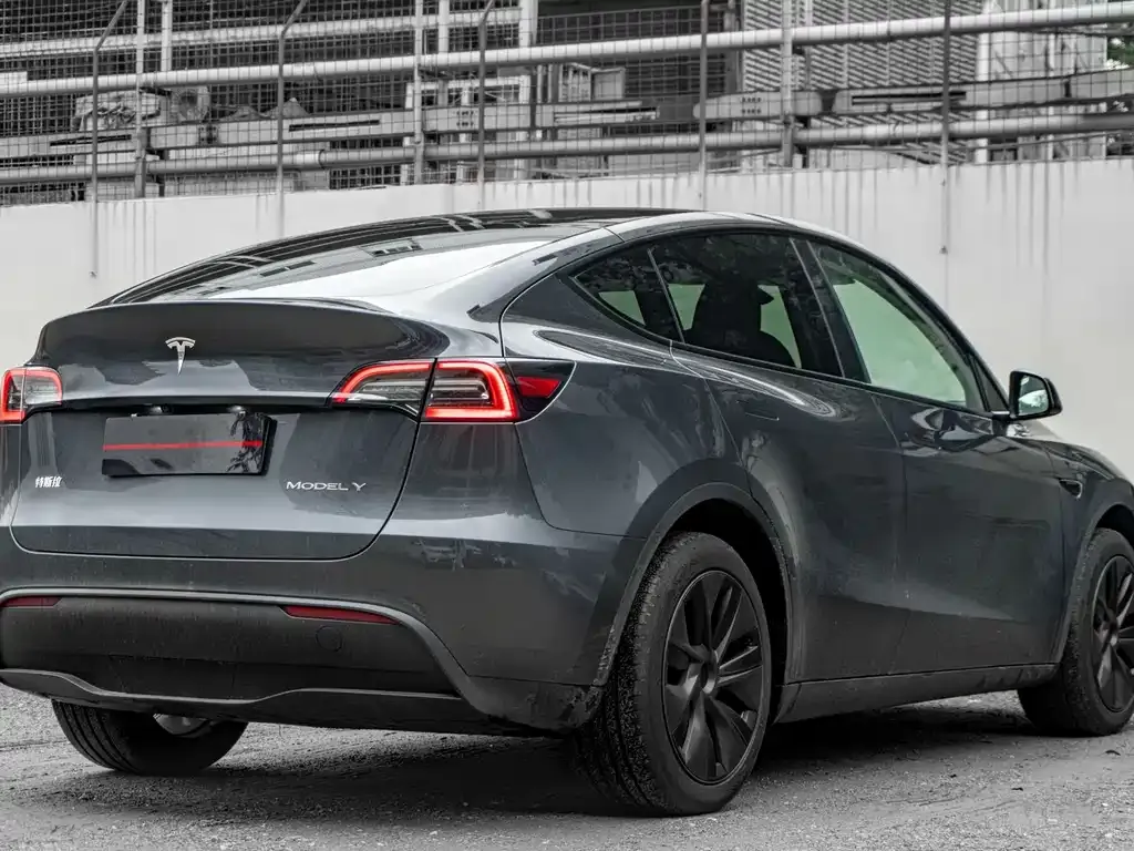 Tesla Model Y — фото 3