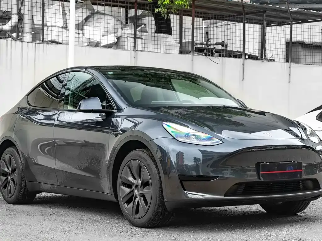 Tesla Model Y — фото 6