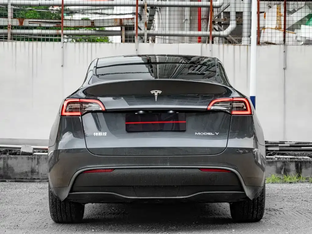 Tesla Model Y — фото 2