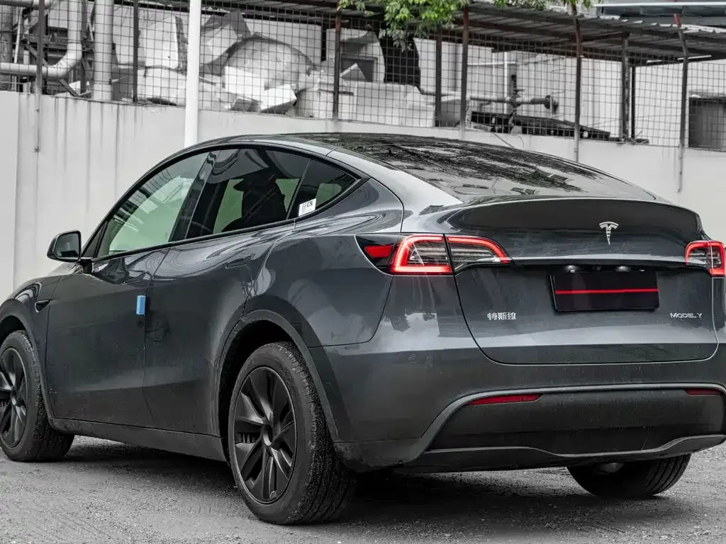 Tesla Model Y — фото 5