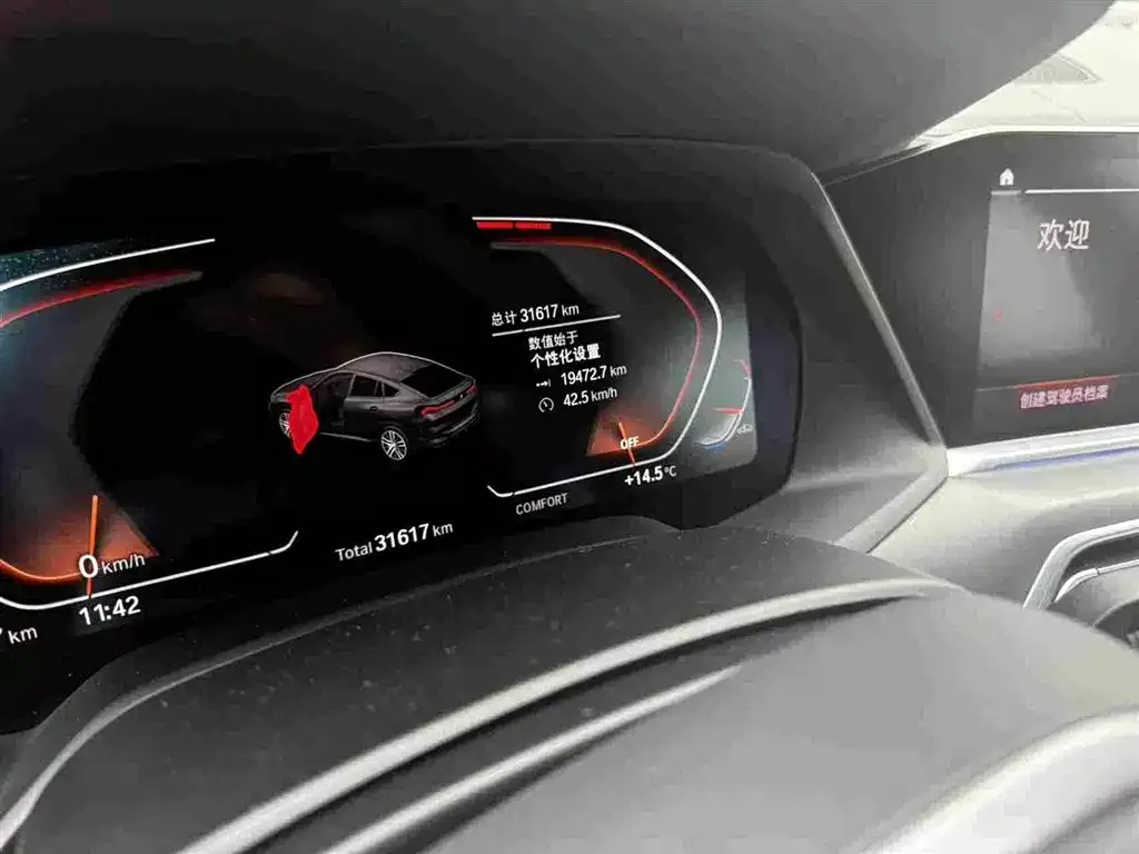 BMW X6 2021 из CN, фото 2