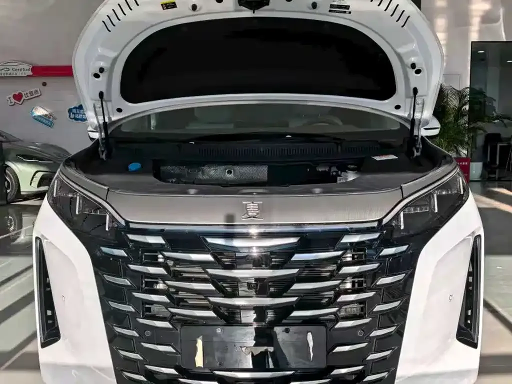 BYD Xia 2025 из CN, фото 5