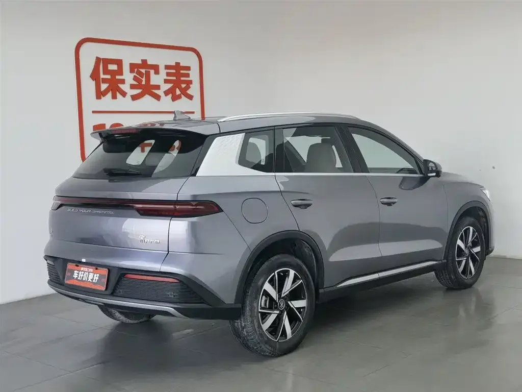 BYD Pro New Energy 2024 из CN, фото 8