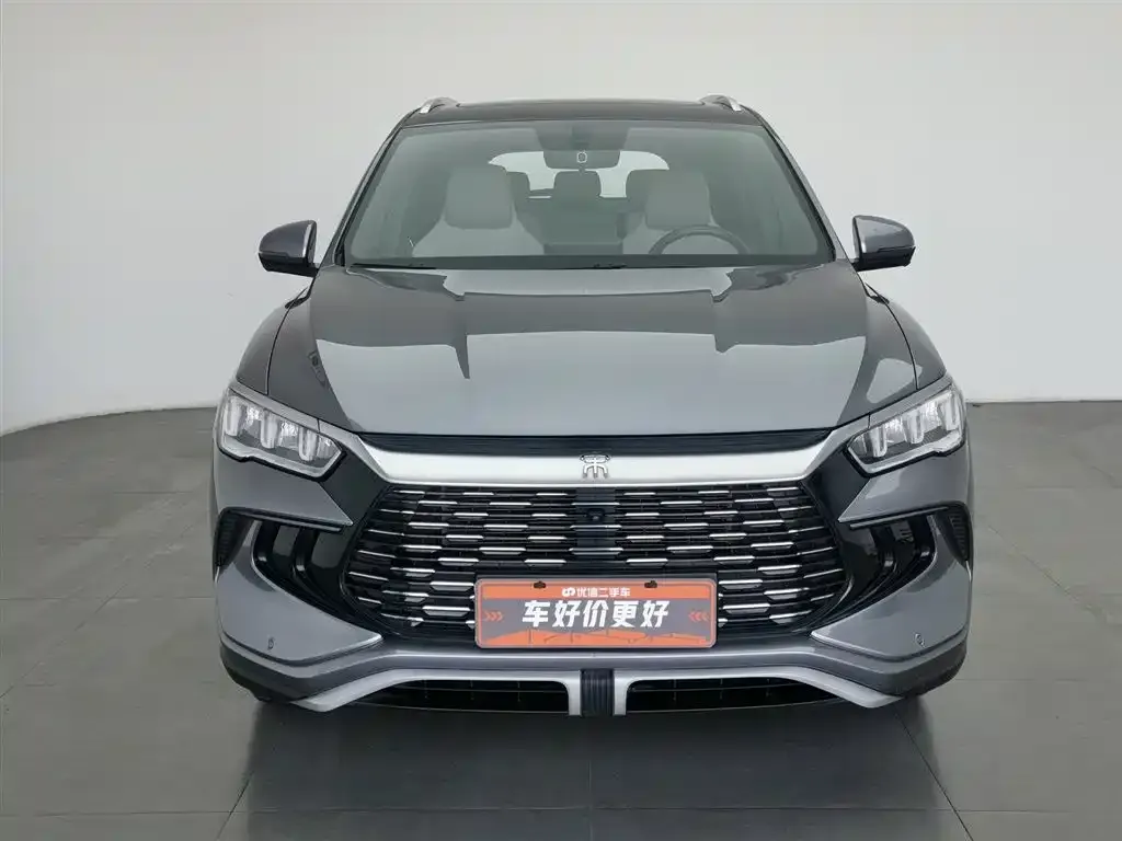 BYD Pro New Energy 2024 из CN, фото 7