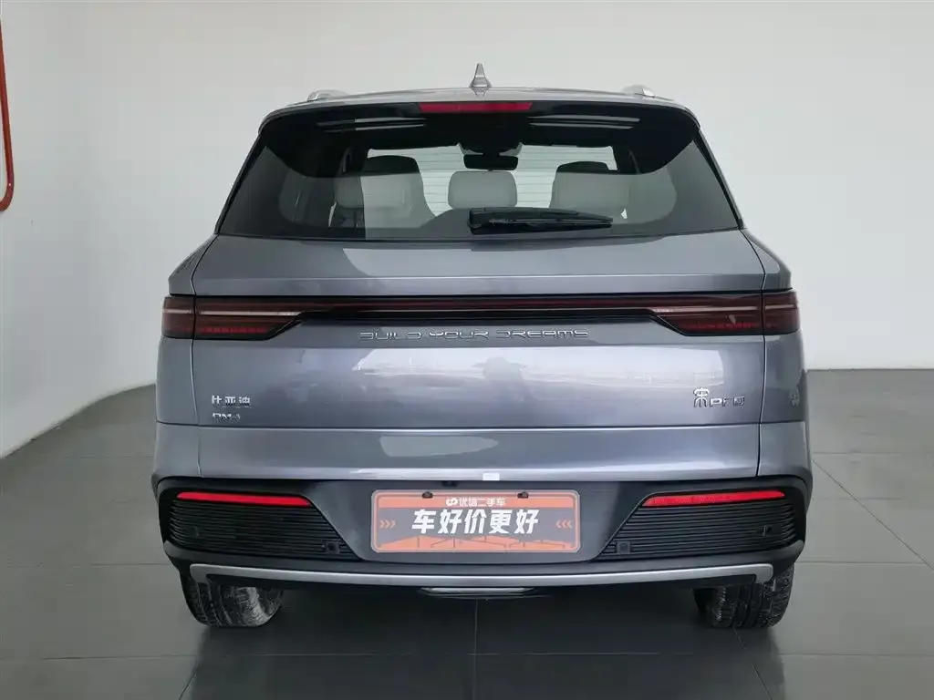 BYD Pro New Energy 2024 из CN, фото 5