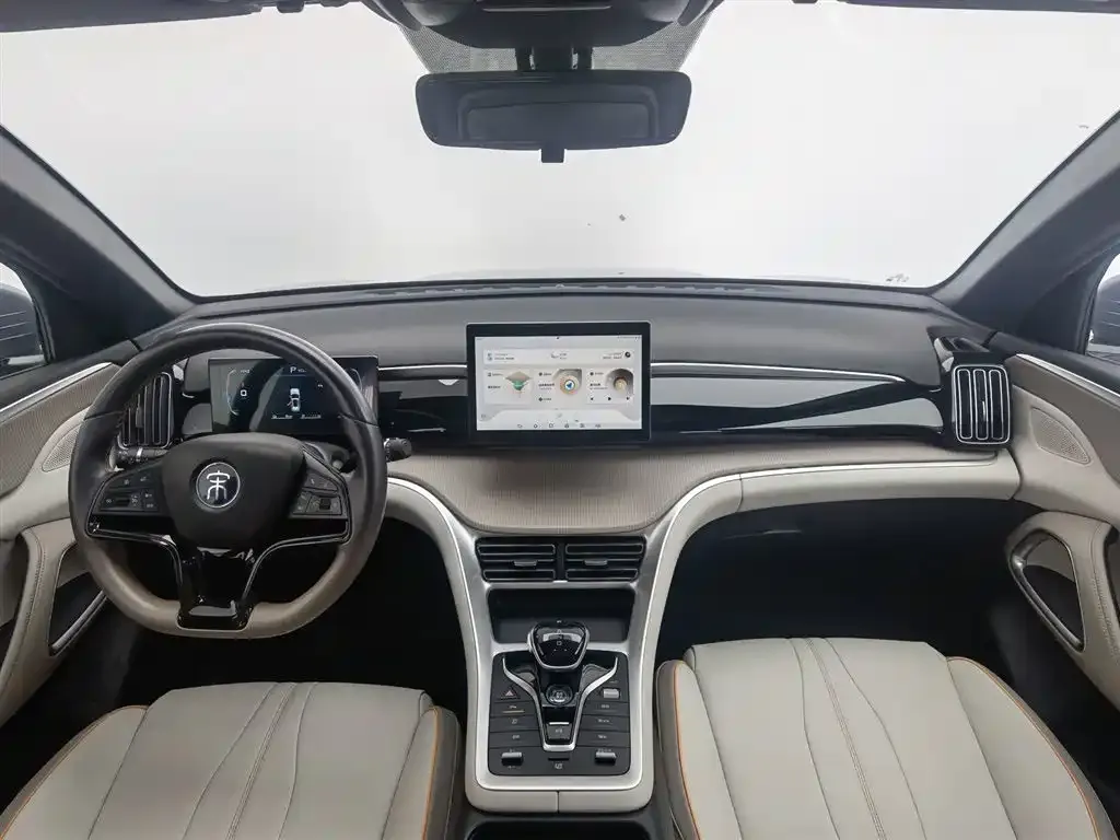 BYD Pro New Energy 2024 из CN, фото 2