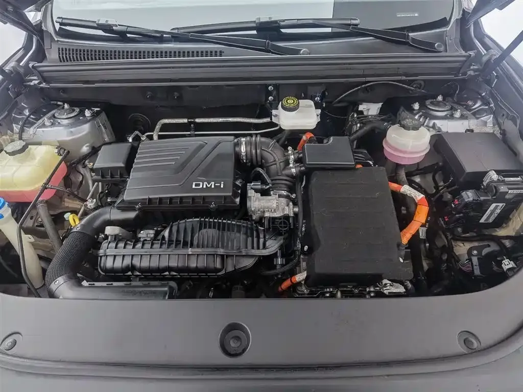 BYD Pro New Energy 2024 из CN, фото 9