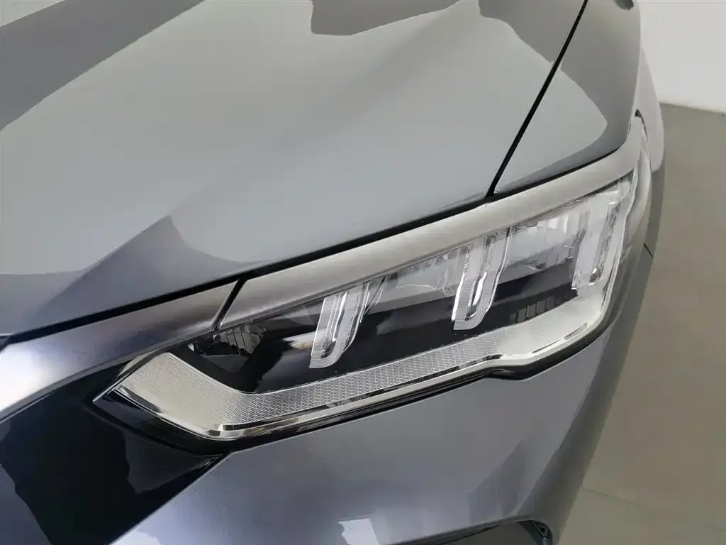 BYD Pro New Energy 2024 из CN, фото 6