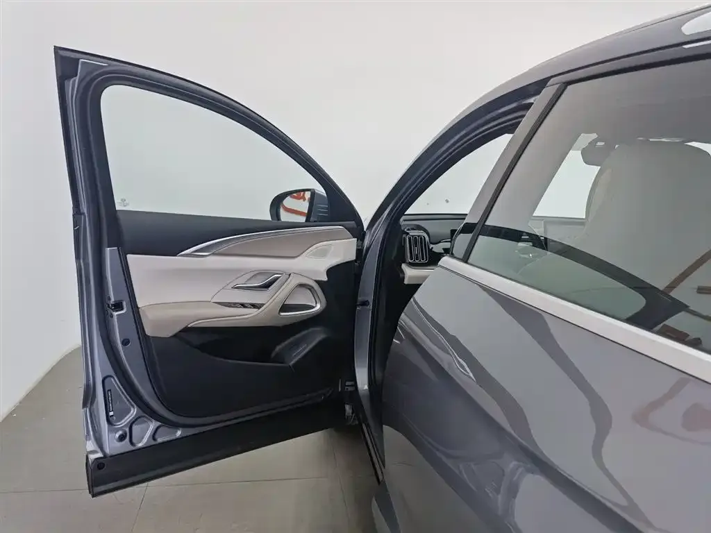 BYD Pro New Energy 2024 из CN, фото 4