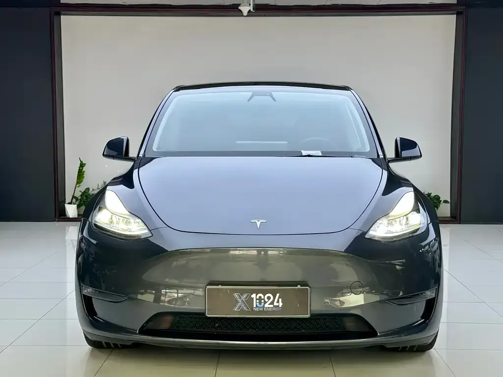 Tesla Model Y — фото 4