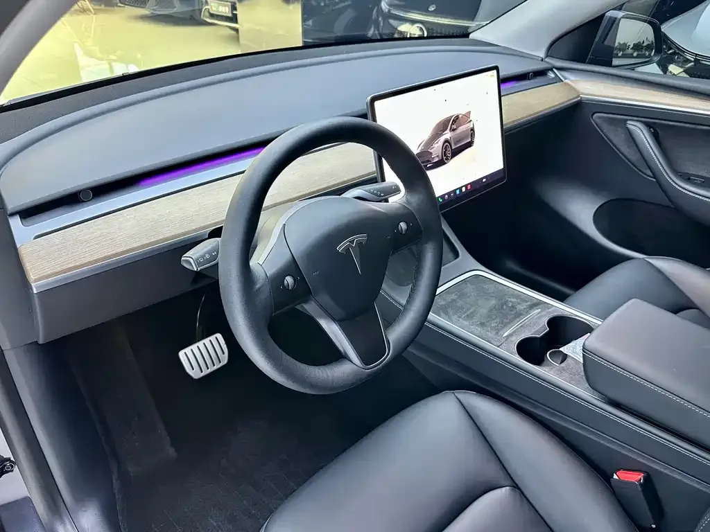 Tesla Model Y — фото 10