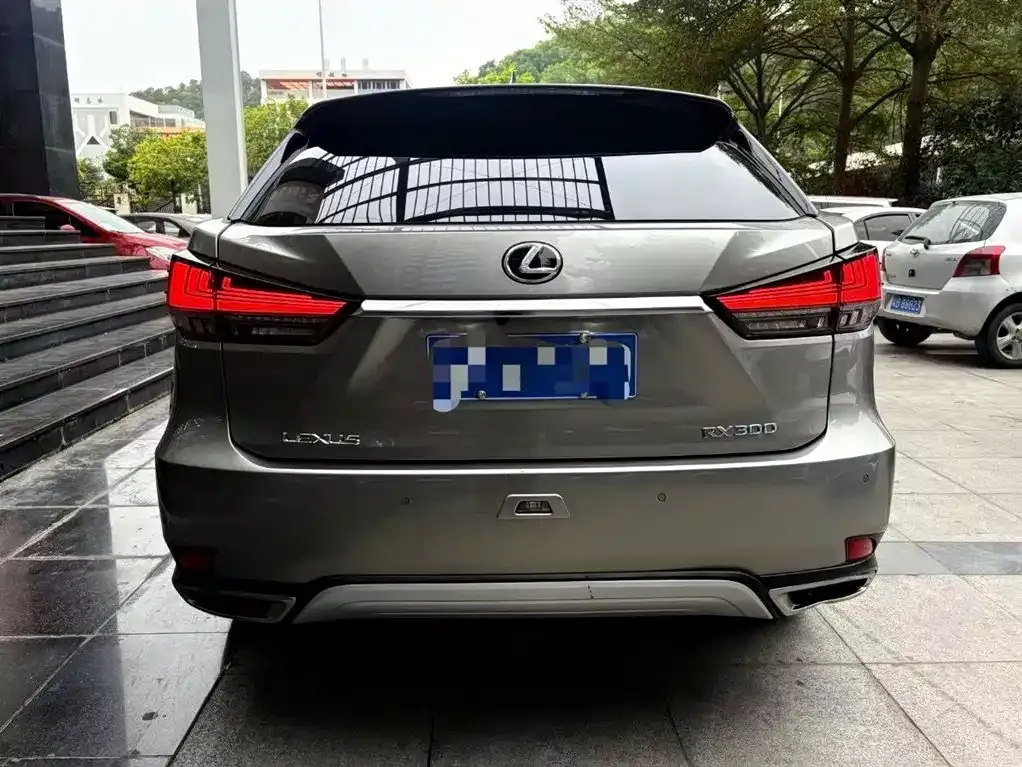 Lexus RX 2022 из CN, фото 6