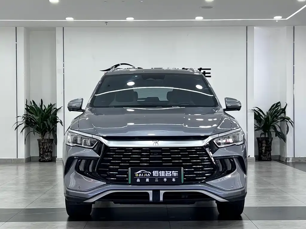 BYD Pro New Energy — фото 6