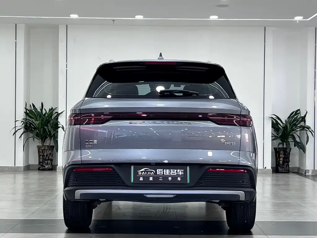BYD Pro New Energy — фото 3