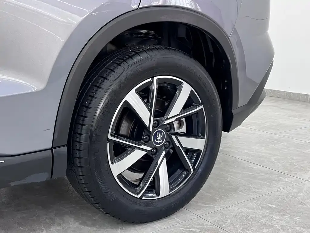 BYD Pro New Energy — фото 2