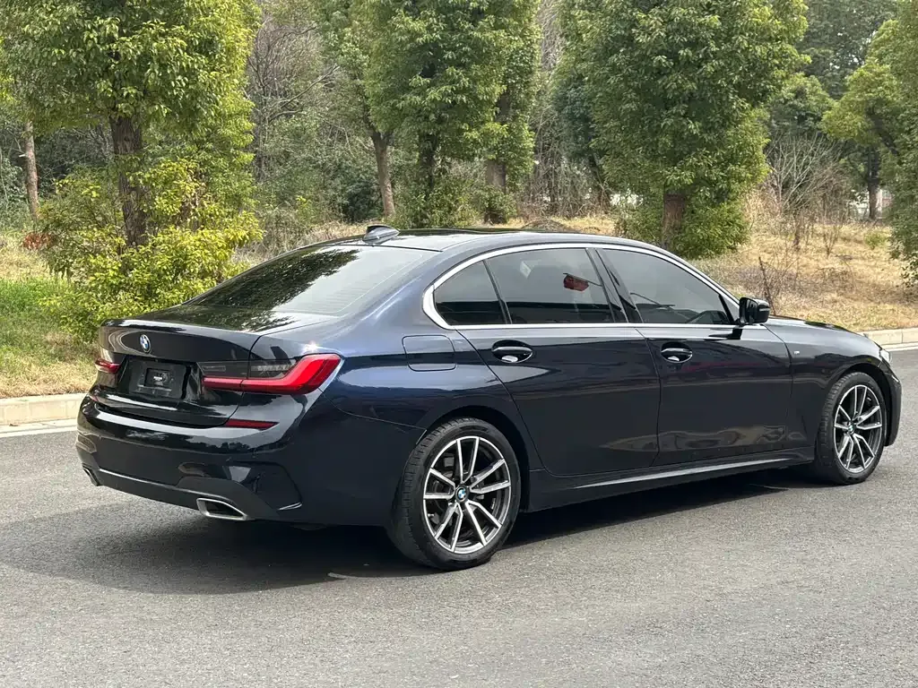 BMW 3 Series 2022 из CN, фото 6