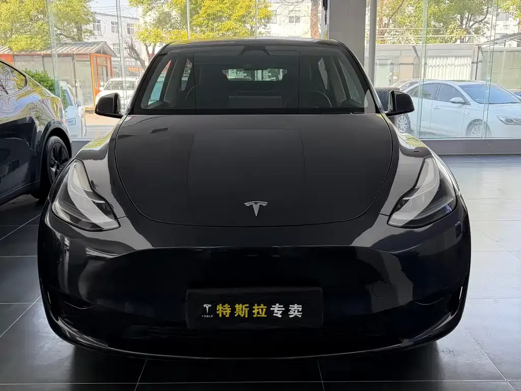 Tesla Model Y — фото 2