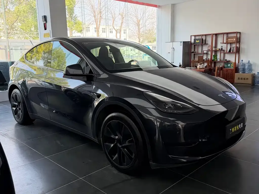 Tesla Model Y — фото 6