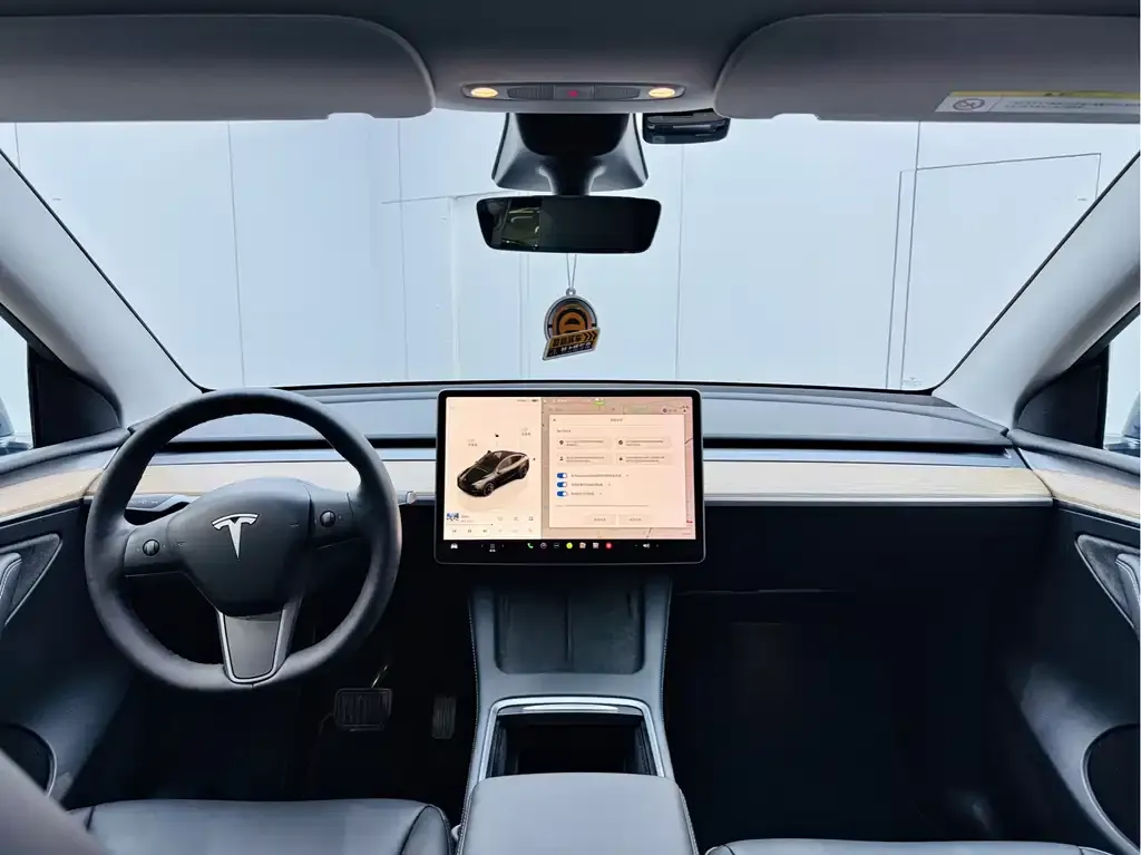 Tesla Model Y 2022 из CN, фото 8