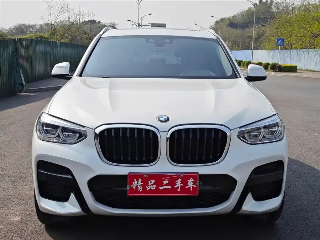 BMW X3 2021 из CN, фото 5
