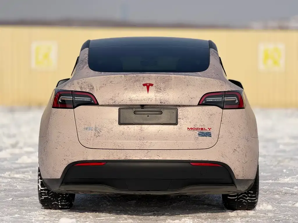 Tesla Model Y — фото 6