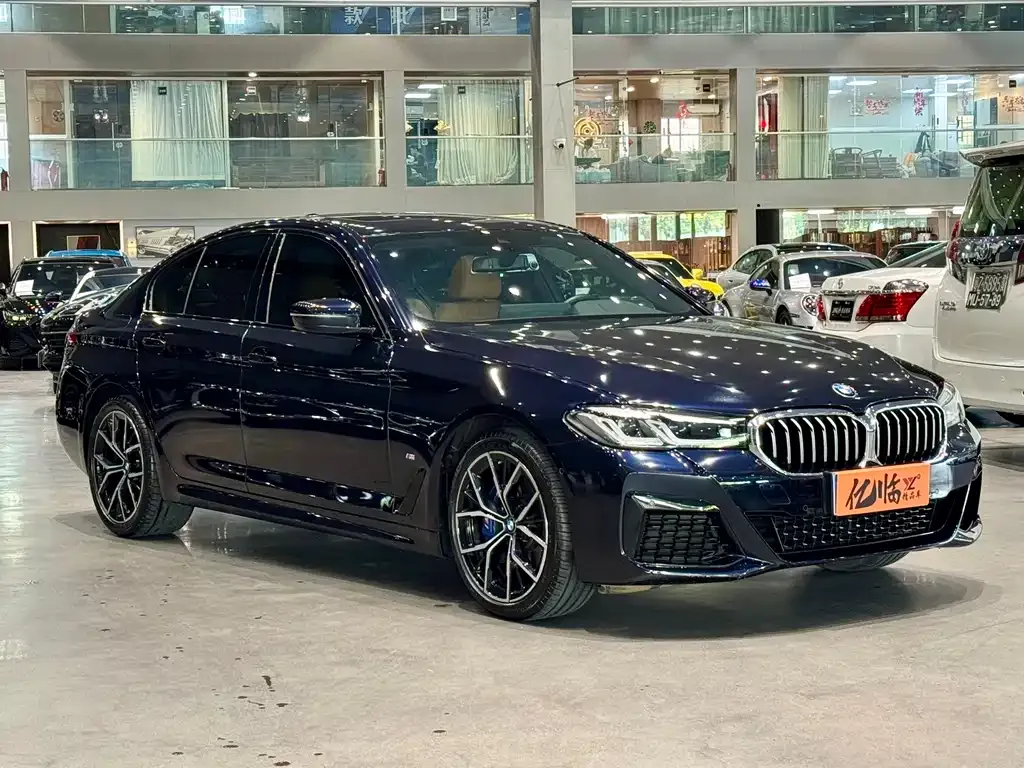 BMW 5 Series (Import) — фото 10