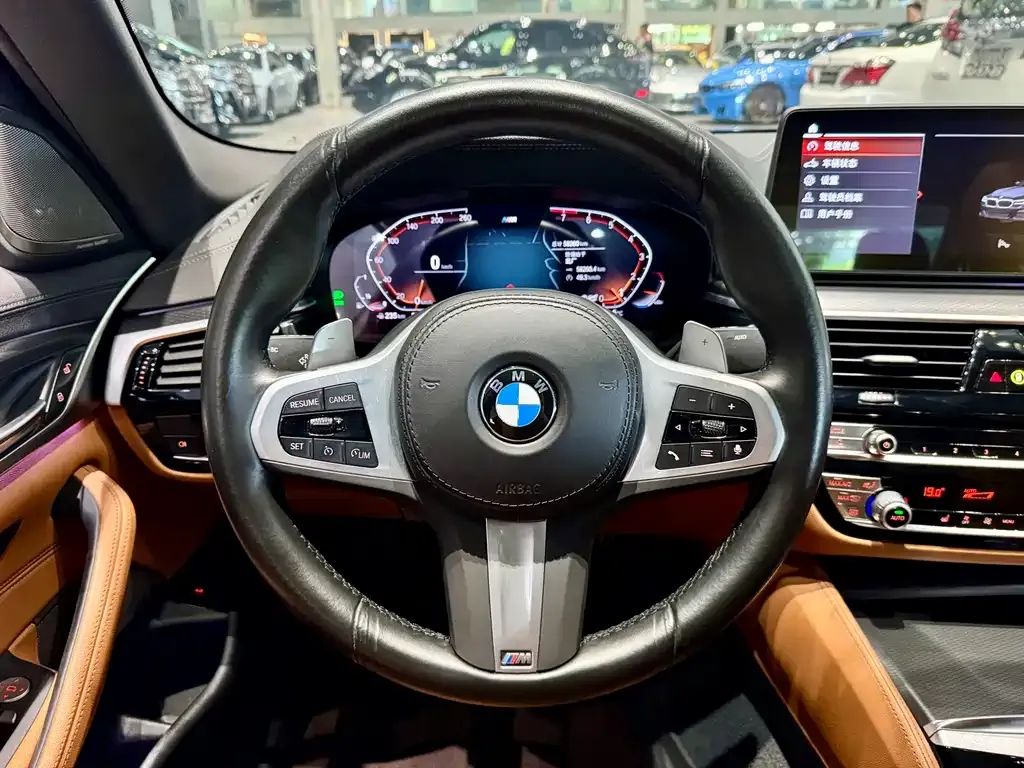 BMW 5 Series (Import) — фото 9