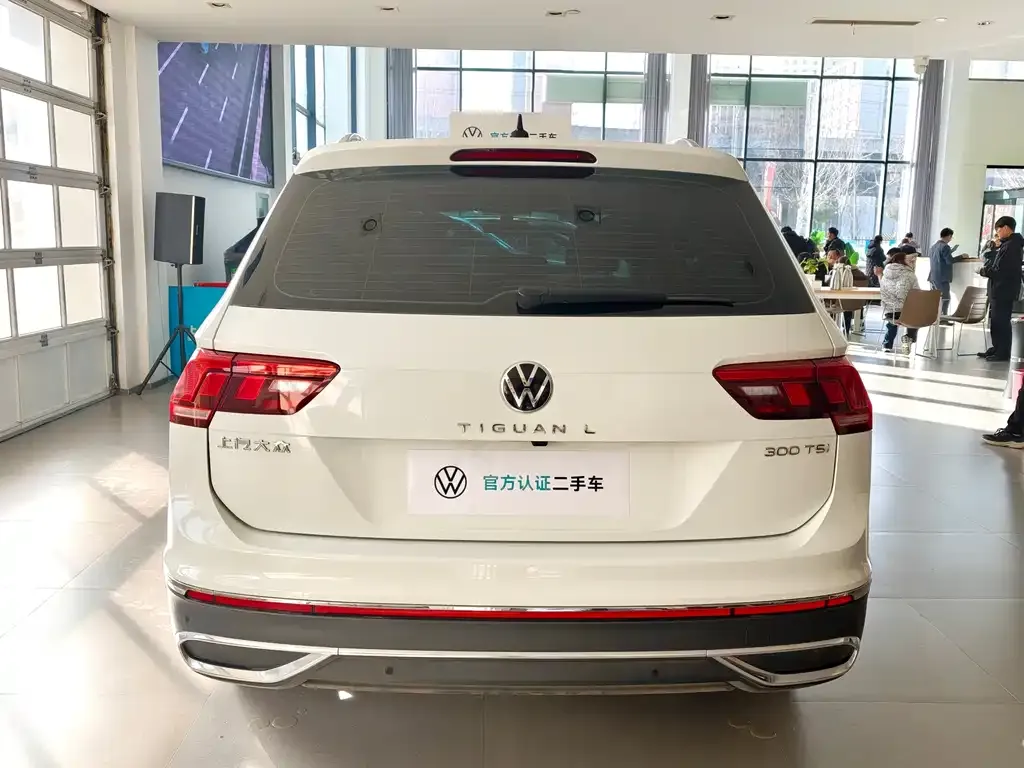 Volkswagen Tiguan L 2024 из CN, фото 6