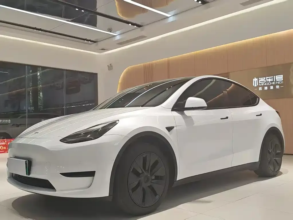 Tesla Model Y — фото 1