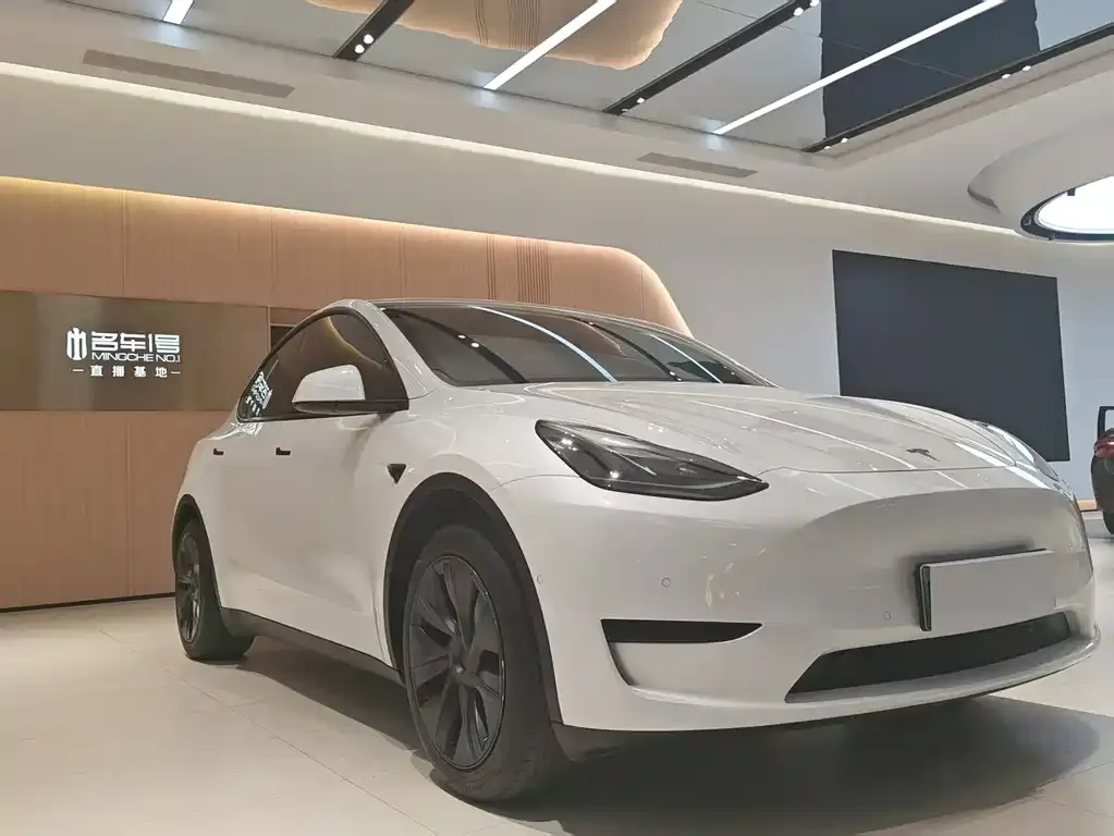 Tesla Model Y — фото 3