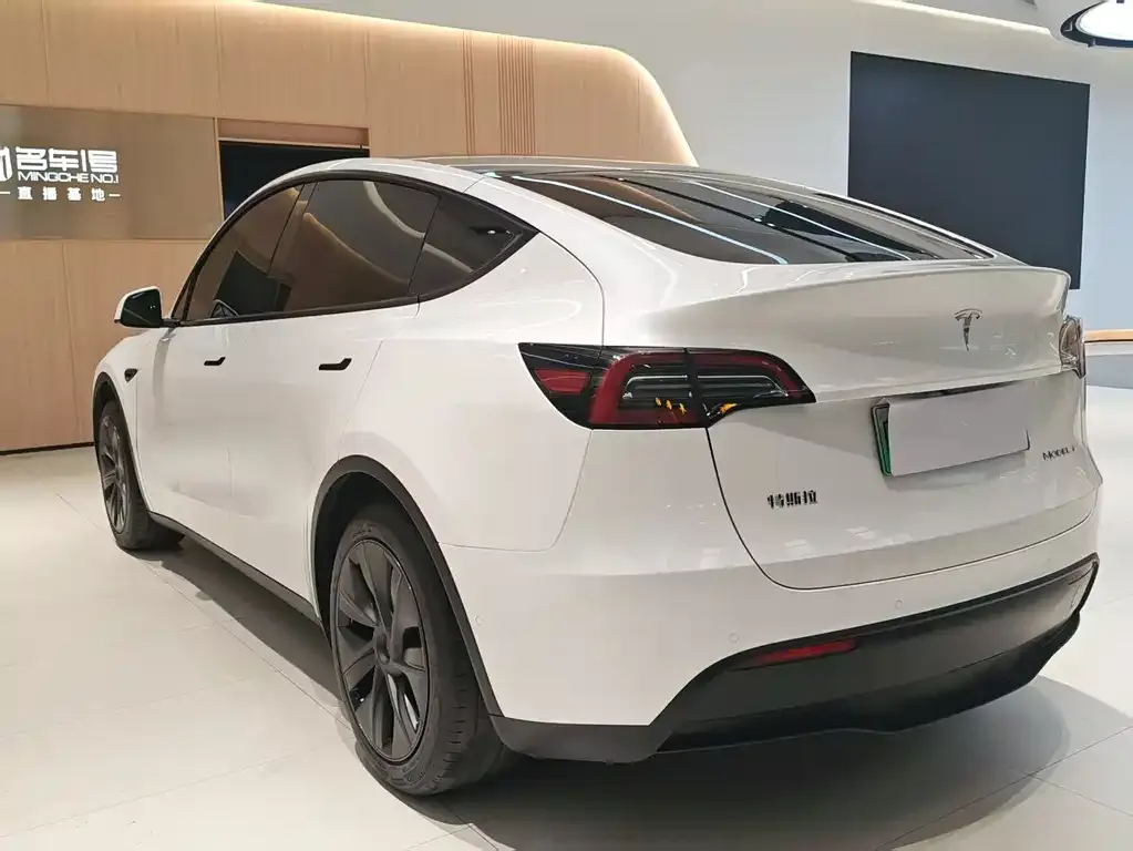 Tesla Model Y — фото 10