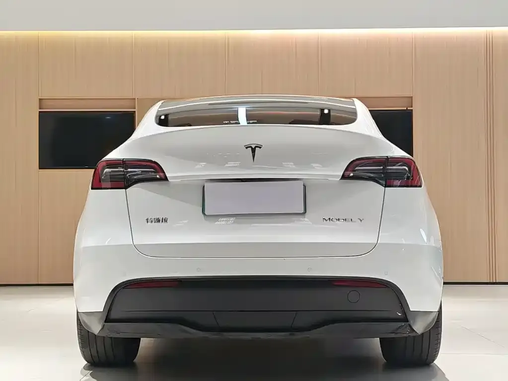 Tesla Model Y — фото 8