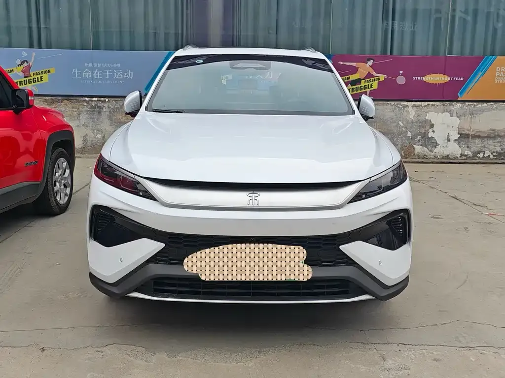BYD Pro New Energy — фото 2