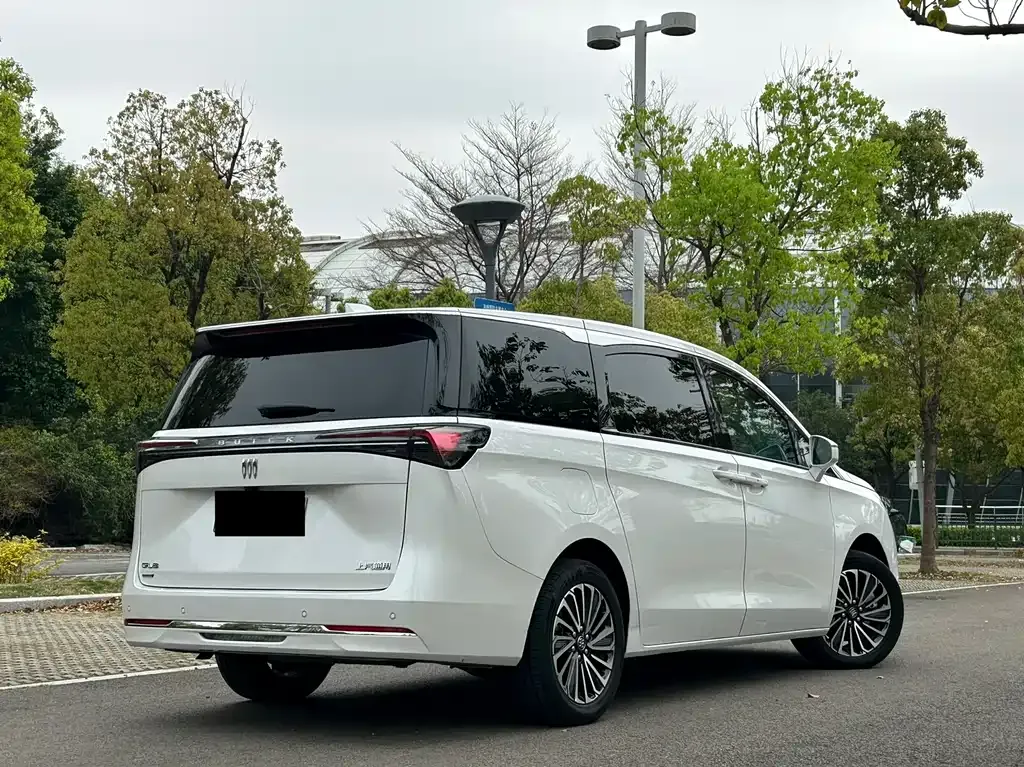 Buick GL8 Hybrid — фото 8