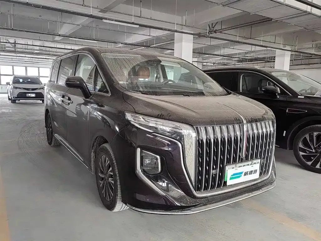 Hongqi HQ9 PHEV 2024 из CN, фото 10