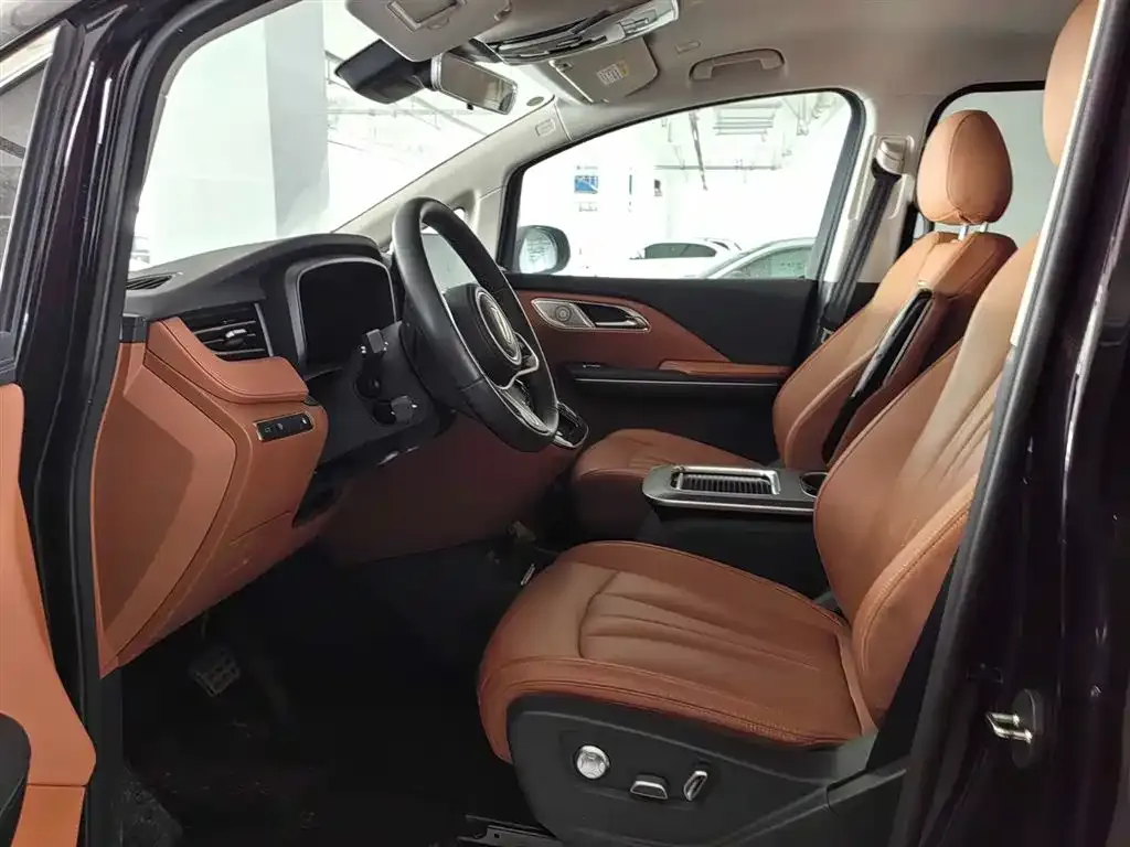 Hongqi HQ9 PHEV 2024 из CN, фото 4