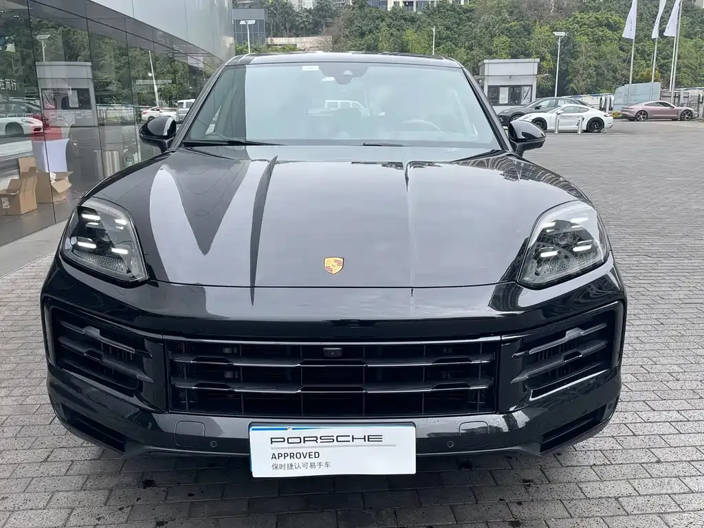 Porsche Cayenne — фото 10