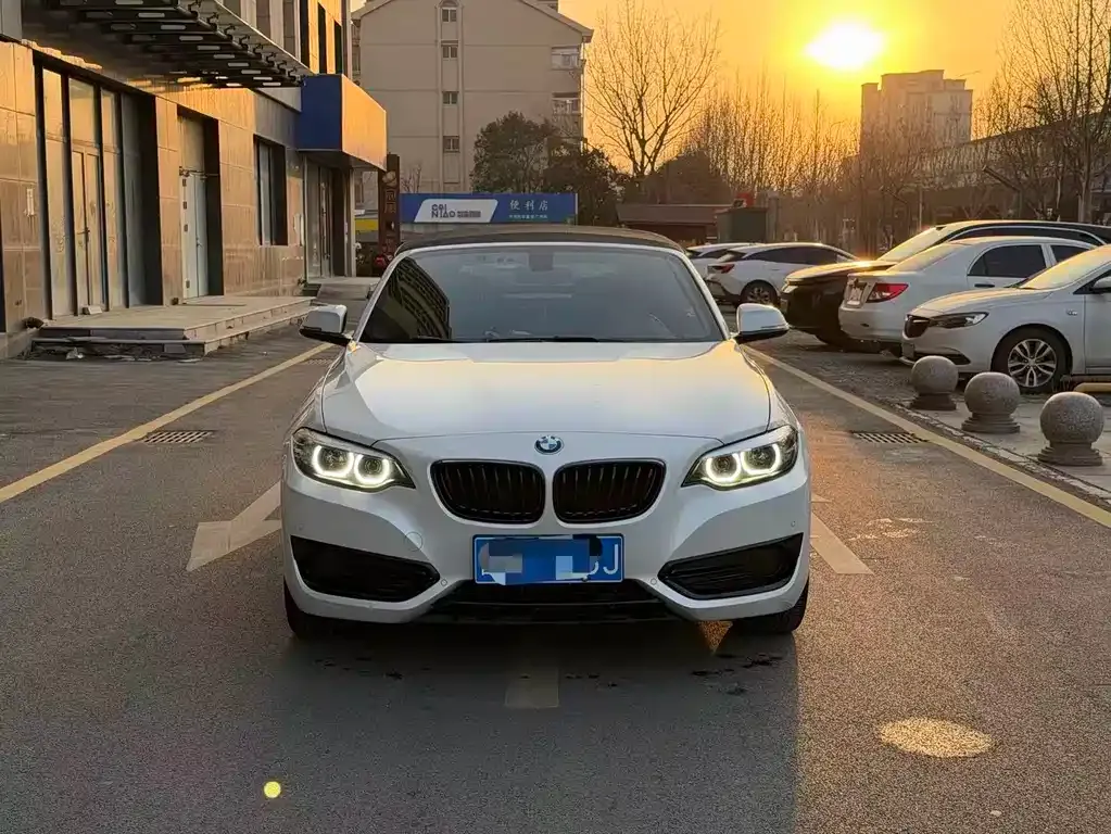 BMW 2 Series (Import) — фото 7