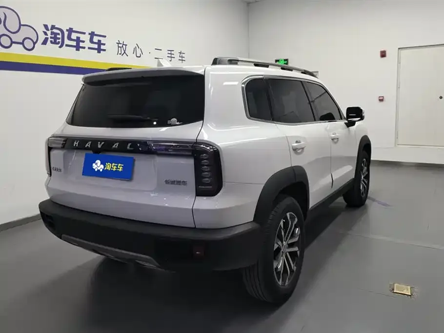 Haval Big Dog 2021 из CN, фото 7
