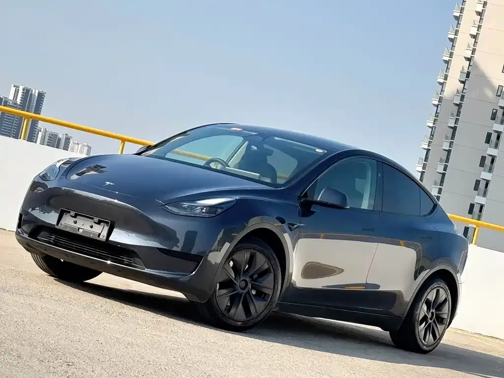 Tesla Model Y — фото 1