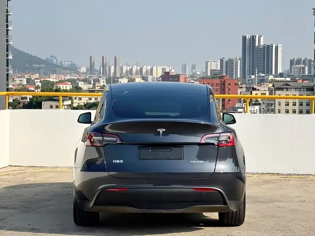 Tesla Model Y — фото 7