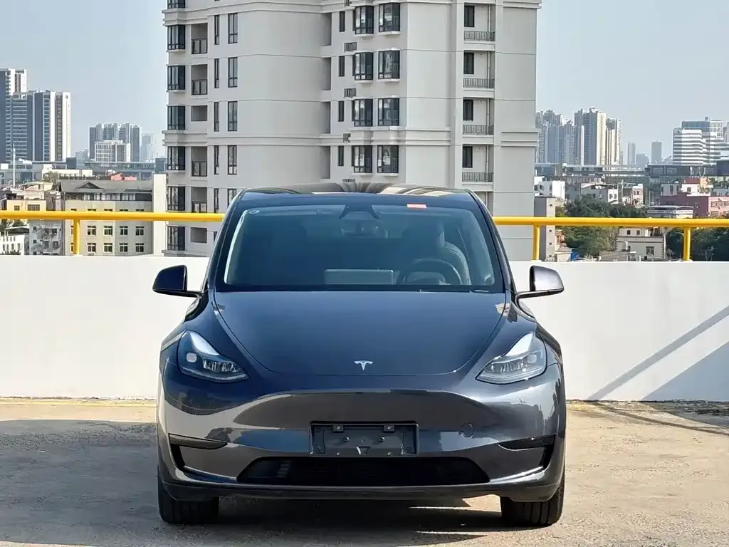 Tesla Model Y — фото 5
