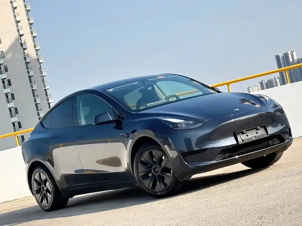 Tesla Model Y — фото 9