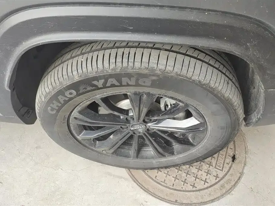 Haval Menglong New Energy 2025 из CN, фото 6
