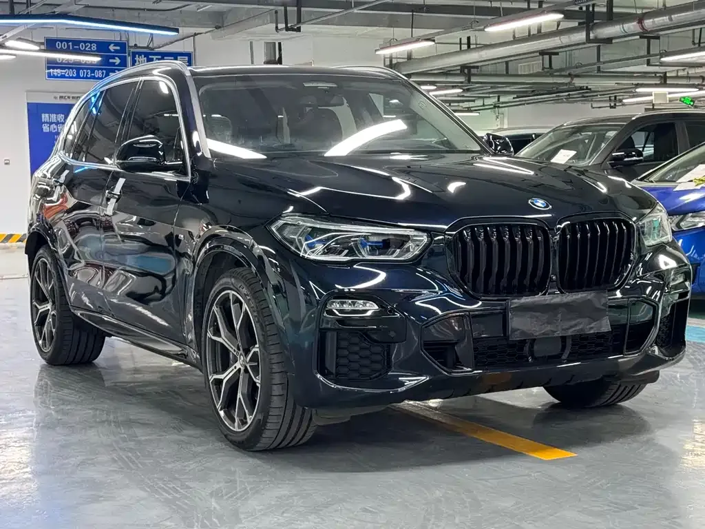 BMW X5 (Import) 2021 из CN, фото 10