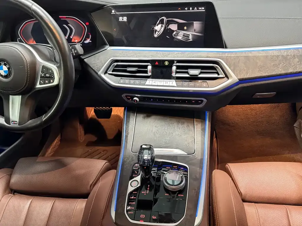 BMW X5 (Import) 2021 из CN, фото 9