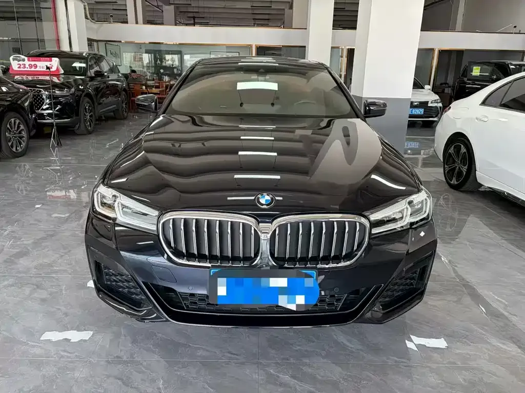 BMW 5 Series 2023 из CN, фото 4